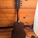 Leewald Resophonic Mandolin