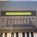 Detailní záběr na ovládací panel klaviatury v tmavě šedé barvě. V horní části je LCD displej s textem PERFORMANCE PLAY, Serial, EF1:EG Sympho., EF2:R…