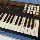 Roland Fa-06