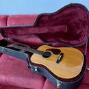 CF Martin Shenandoah HD-2832