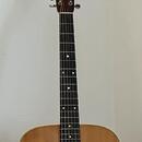 CF Martin Shenandoah HD-2832