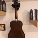 Leewald Resophonic Mandolin