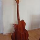 Jazzová kytara Jiří Navrátil (možná výměna za Telecaster)