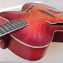 GIBSONKA CREMONA 460 Cutaway