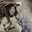 Washburn EA36 (1995) Robert Plant 
