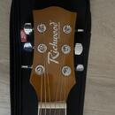 Richwood elektroakustická kytara | RD-12-CE