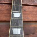 Epiphone LP + Gibson 490 a 498