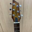 Godin Flat Five – semi-hollow kytara