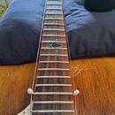 Schecter Gary Holt V-1 Fr blood splatter