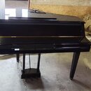 Yamaha GanTouch T630150
