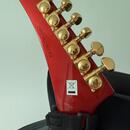 Epiphone Explorer Ruby Red Limited Edition SLEVA