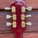 Epiphone LP + Gibson 490 a 498