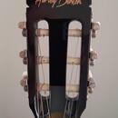 Harley Benton CG-200CE