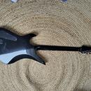Schecter Hellraiser Avenger 