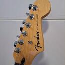 Fender Standard Stratocaster HSS LRL Candy Cola El.kytara