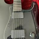 Fender Jim ROOT Stratocaster 2014 