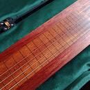 Lap Steel