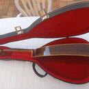 RICARDO SANCHIS CARPIO, Flamenco Mandola 2003, PACO de LUCIA