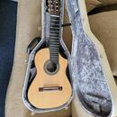 Alto Guitar