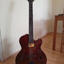 Jazzová kytara Jiří Navrátil (možná výměna za Telecaster)