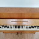 Pianino Scholze