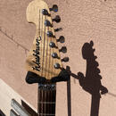 WASHBURN N 2