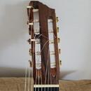 Alto Guitar