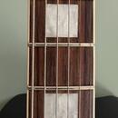 D'Angelico Premier DC (335 style)