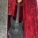 Fender Jim ROOT Stratocaster 2014