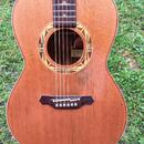 Takamine PSF-95 Santa Fe Made in Japan 1995