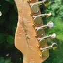 Valley Arts Custom Pro USA Short Scale 