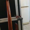 ESP LTD D-6 šestistrunná baskytara