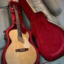 Washburn EA36 (1995) Robert Plant 