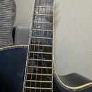 Predám Takamine LTD2021 blue rose