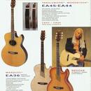 Washburn EA36 (1995) Robert Plant 