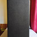 1977 Fender Musicmaster Bass Amp 230V