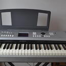 Stage piano Yamaha DGX-520