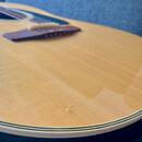 Applause by Ovation AE132 + pevný kufr (r. 1994)