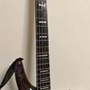 Ibanez 5 lano