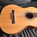 Cort AC200CE