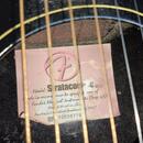 Fender Stratacoustic