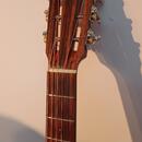 Akustická kytara Stanford D5 Vintage dreadnought