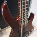 ESP LTD D-6 šestistrunná baskytara