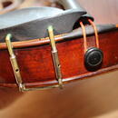 Antonius Stradivarius Cremonensis Faciebad anno 1721 (Lídl)