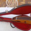 RICARDO SANCHIS CARPIO, Flamenco Mandola 2003, PACO de LUCIA
