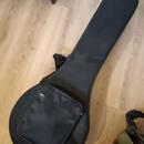 Fender banjo