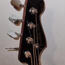 Fender Kingman V2 Akustická Baskytara