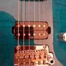 Prodam profi nastroj Ibanez MM1-TAB Martin Miller signature.