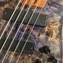 Ibanez 5 lano