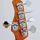 Sire Marcus Miller P5 Alder 5TS 2. gen. + gigbag